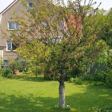 Parkstrasse