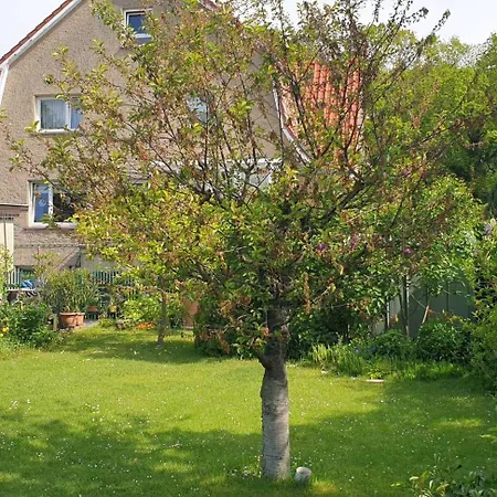 Parkstrasse Rostock