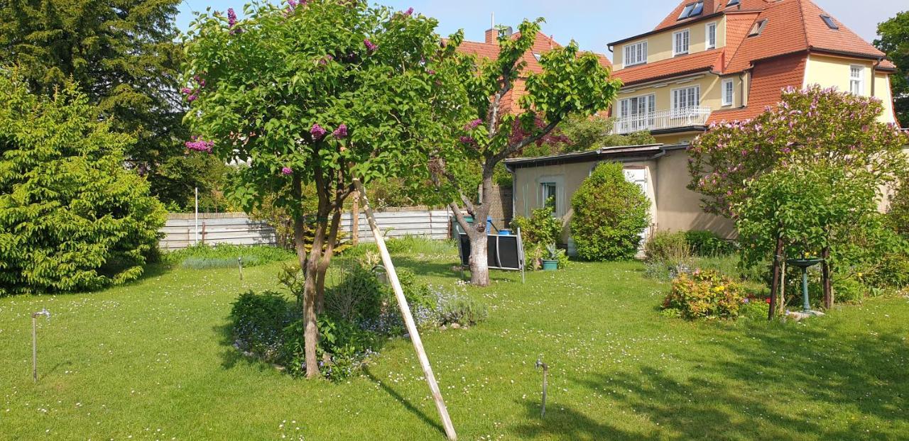 Apartment Parkstraße *